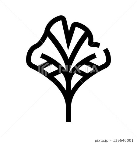 Ginkgo biloba leaf outline icon for nature design 139646001