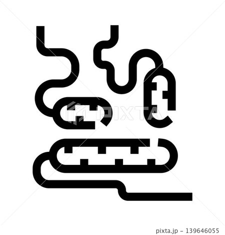 Human digestive system gut intestines anatomy icon Human digestive system gut intestines anatomy icon 139646055
