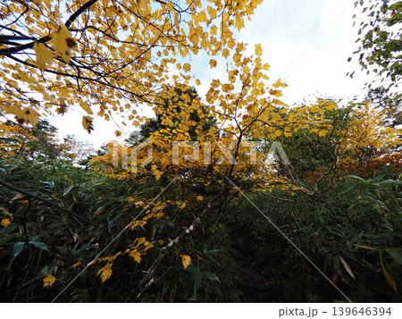 10月上旬の三ツ石山(岩手県雫石町・八幡平市) 10月上旬の三ツ石山(岩手県雫石町・八幡平市) 139646394