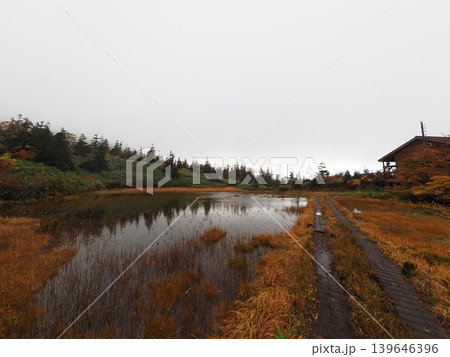 10月上旬の三ツ石山(岩手県雫石町・八幡平市) 10月上旬の三ツ石山(岩手県雫石町・八幡平市) 139646396
