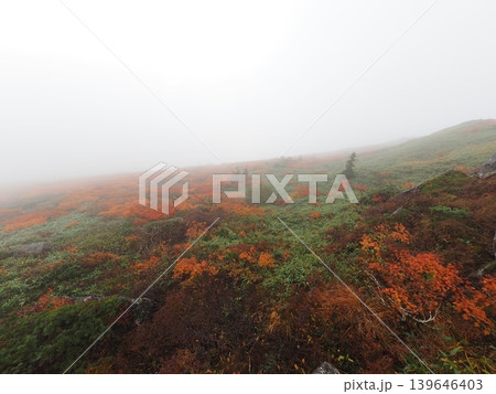 10月上旬の三ツ石山(岩手県雫石町・八幡平市) 10月上旬の三ツ石山(岩手県雫石町・八幡平市) 139646403