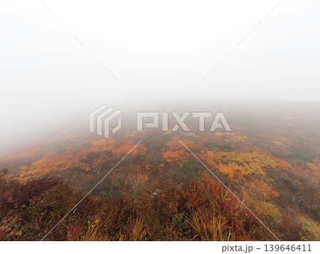 10月上旬の三ツ石山(岩手県雫石町・八幡平市) 10月上旬の三ツ石山(岩手県雫石町・八幡平市) 139646411