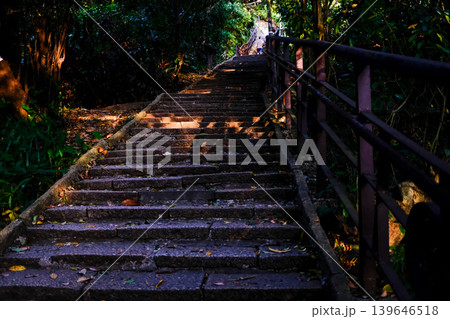 Close up of Xiangshan Hiking Trail with sunlight during the sunset. A natural trail near downtown Taipei, also known as Elephant Mountain. Travel and nature scene. 139646518