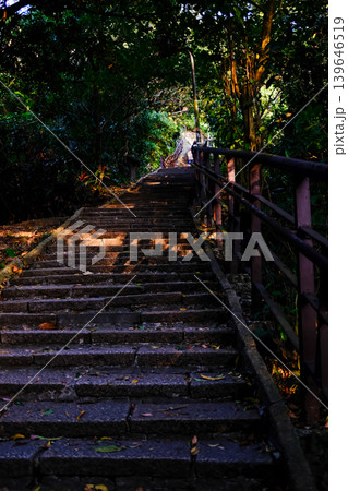Close up of Xiangshan Hiking Trail with sunlight during the sunset. A natural trail near downtown Taipei, also known as Elephant Mountain. Travel and nature scene. 139646519