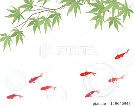 青紅葉と金魚の和風背景イラスト2 青紅葉と金魚の和風背景イラスト2 139646947