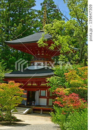 奈良　円成寺　多宝塔 139647309