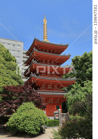 福岡市博多区「東長寺の五重塔」 139647581