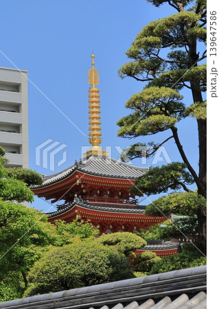福岡市博多区「東長寺の五重塔」 福岡市博多区「東長寺の五重塔」 139647586