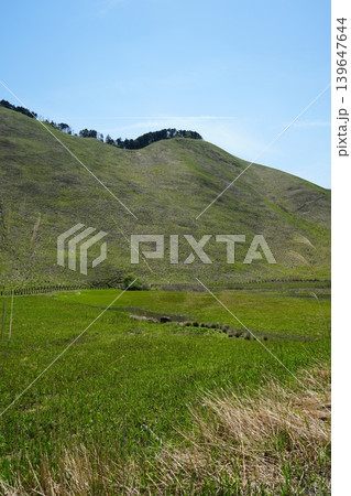 奈良県 曾爾高原から見る絶景 139647644