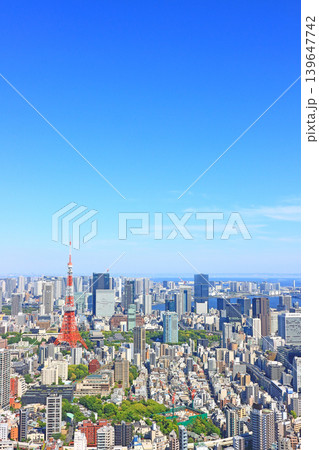 東京都港区、東京タワーと東京の街並みの風景 東京都港区、東京タワーと東京の街並みの風景 139647742