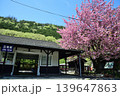 桜が咲くわたらせ渓谷鉄道足尾駅 桜が咲くわたらせ渓谷鉄道足尾駅 139647863