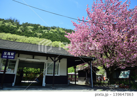 桜が咲くわたらせ渓谷鉄道足尾駅 桜が咲くわたらせ渓谷鉄道足尾駅 139647863
