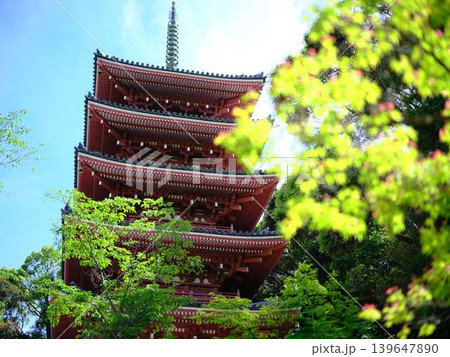五台山の五重の塔 竹林寺 五台山の五重の塔 竹林寺 139647890