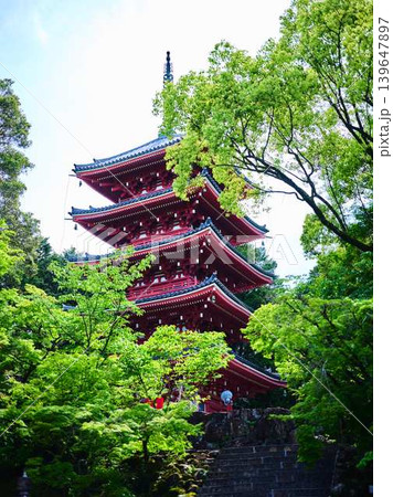 五台山の五重の塔　竹林寺 139647897