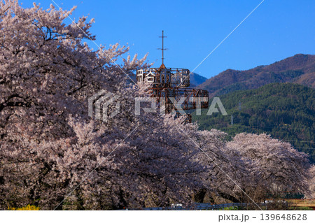 桜並木【横河川】 桜並木【横河川】 139648628