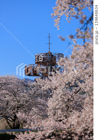 桜並木【横河川】 139648634