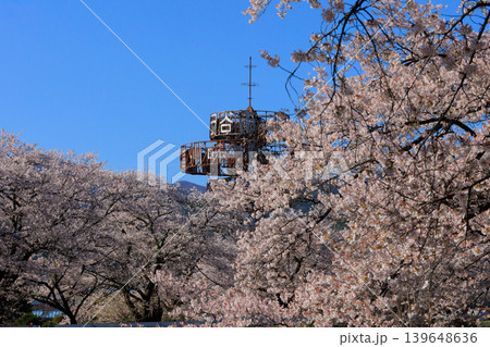 桜並木【横河川】 桜並木【横河川】 139648636