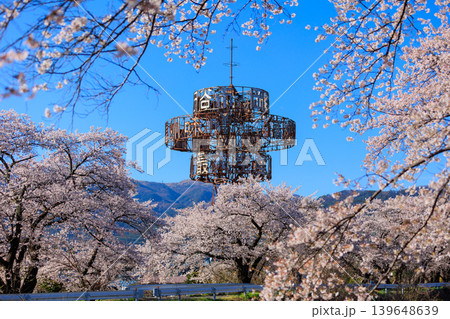 桜並木【横河川】 139648639