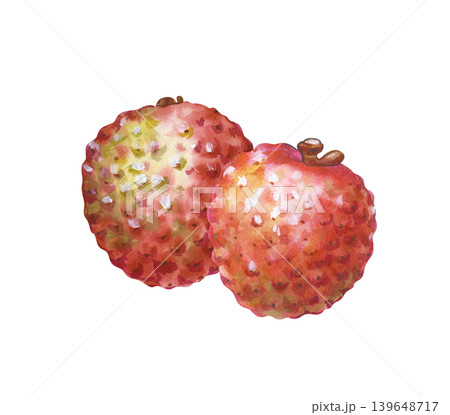 Watercolor illustration of two ripe lychee fruits in a peel on an isolated background. It is ideal for organic food packaging, health-focused branding, botanical art collections, and culinary-themed Watercolor illustration of two ripe lychee fruits in a peel on an isolated background. It is ideal for organic food packaging, health-focused branding, botanical art collections, and culinary-themed 139648717