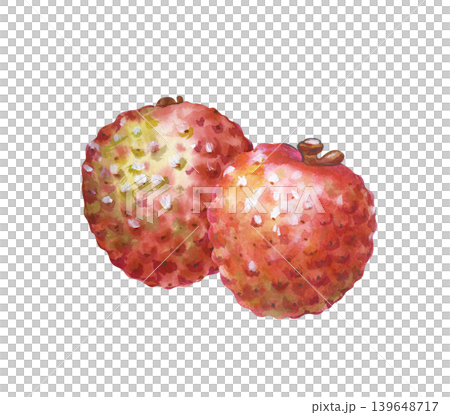 Watercolor illustration of two ripe lychee fruits in a peel on an isolated background. It is ideal for organic food packaging, health-focused branding, botanical art collections, and culinary-themed Watercolor illustration of two ripe lychee fruits in a peel on an isolated background. It is ideal for organic food packaging, health-focused branding, botanical art collections, and culinary-themed 139648717