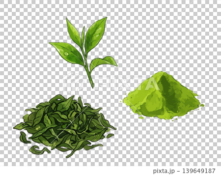 抹茶的誘人插圖 抹茶的誘人插圖 139649187