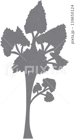 grey plant shadow grey plant shadow 139650124