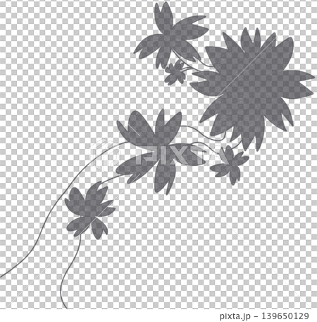 grey flower shadow grey flower shadow 139650129