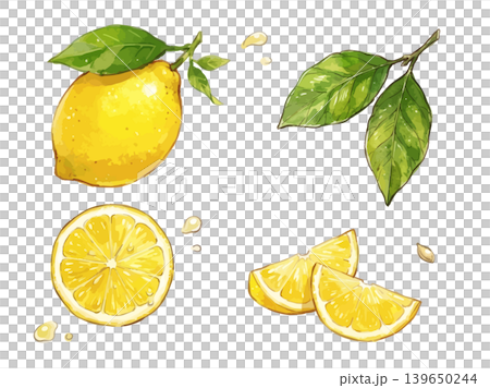 A mouthwatering illustration of a lemon A mouthwatering illustration of a lemon 139650244