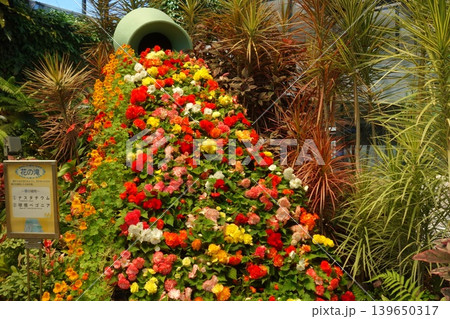 花の滝が流れる熱帯温室 139650317