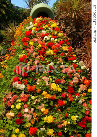 トロピカルガーデンの花あふれる一角 139650318