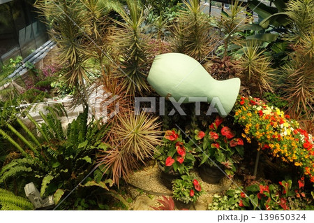南国植物に囲まれたカラフルな温室風景 139650324