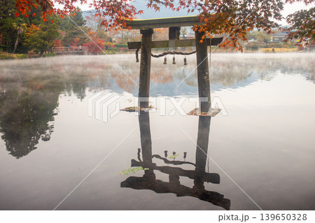 湯布院 金鱗湖の朝霧と紅葉 湯布院 金鱗湖の朝霧と紅葉 139650328