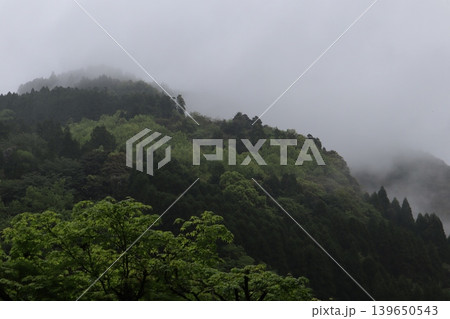 霧が流れる大分県の山の風景 霧が流れる大分県の山の風景 139650543