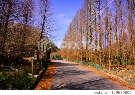 景色 風景 自然 139650800