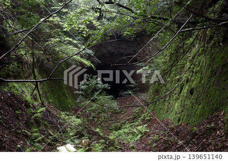 大分県の山中に残る大石隧道入口 大分県の山中に残る大石隧道入口 139651140