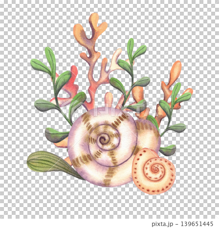 Marine composition with sea corals, shells and seaweed, hand drawn. Watercolor illustration of underwater plants in light colors for design, postcards, travel brochures Marine composition with sea corals, shells and seaweed, hand drawn. Watercolor illustration of underwater plants in light colors for design, postcards, travel brochures 139651445