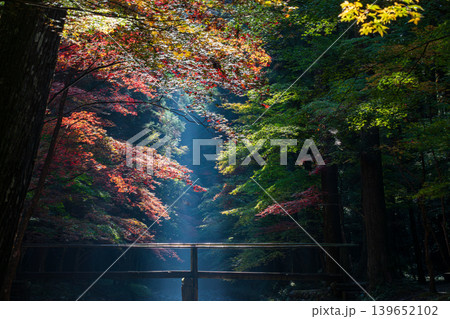 静岡県周智郡森町一宮 小國神社と周辺の風景 静岡県周智郡森町一宮 小國神社と周辺の風景 139652102