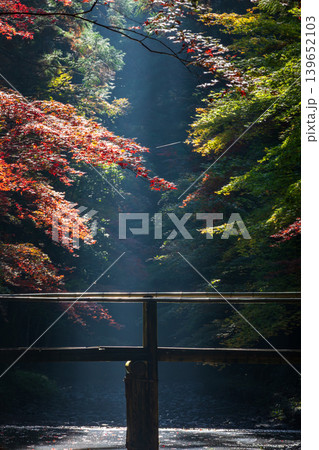 静岡県周智郡森町一宮 小國神社と周辺の風景 静岡県周智郡森町一宮 小國神社と周辺の風景 139652103