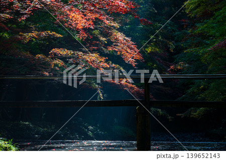 静岡県周智郡森町一宮 小國神社と周辺の風景 静岡県周智郡森町一宮 小國神社と周辺の風景 139652143