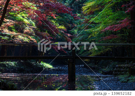 静岡県周智郡森町一宮 小國神社と周辺の風景 静岡県周智郡森町一宮 小國神社と周辺の風景 139652182