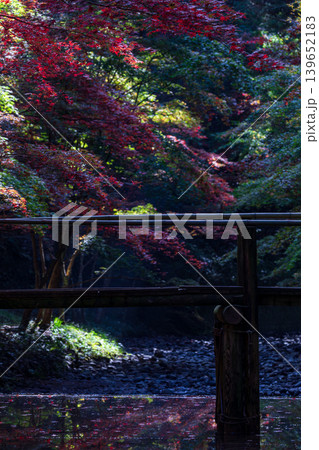 静岡県周智郡森町一宮 小國神社と周辺の風景 静岡県周智郡森町一宮 小國神社と周辺の風景 139652183