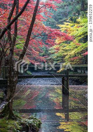 静岡県周智郡森町一宮　小國神社と周辺の風景 139652259