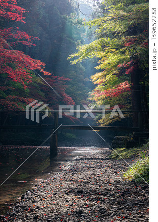 静岡県周智郡森町一宮　小國神社と周辺の風景 139652288