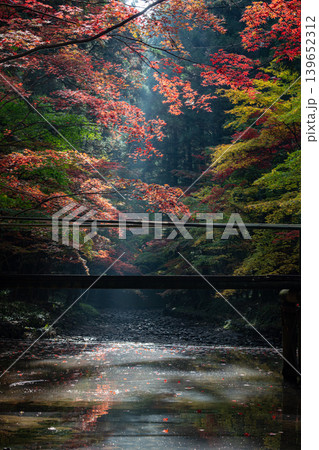静岡県周智郡森町一宮 小國神社と周辺の風景 静岡県周智郡森町一宮 小國神社と周辺の風景 139652312
