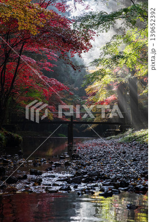 静岡県周智郡森町一宮 小國神社と周辺の風景 静岡県周智郡森町一宮 小國神社と周辺の風景 139652392