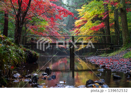 静岡県周智郡森町一宮　小國神社と周辺の風景 139652532
