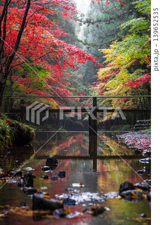 静岡県周智郡森町一宮　小國神社と周辺の風景 139652535