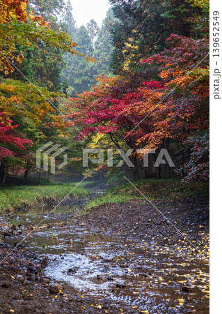 静岡県周智郡森町一宮　小國神社と周辺の風景 139652549