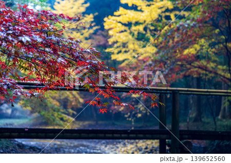 静岡県周智郡森町一宮 小國神社と周辺の風景 静岡県周智郡森町一宮 小國神社と周辺の風景 139652560