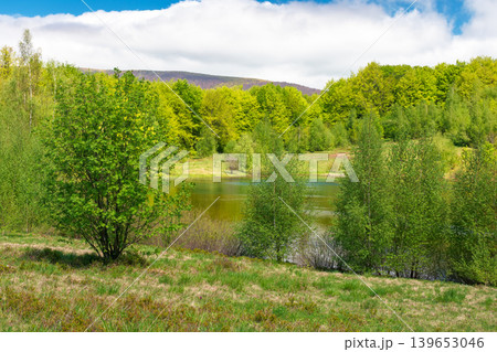 landscape by the lake at noon. deciduous forest near the glacial lake velyke trostya. view of primeval forest of carpathian mountains of ukraine in spring. cloudy sky. hiking and tourism background landscape by the lake at noon. deciduous forest near the glacial lake velyke trostya. view of primeval forest of carpathian mountains of ukraine in spring. cloudy sky. hiking and tourism background 139653046